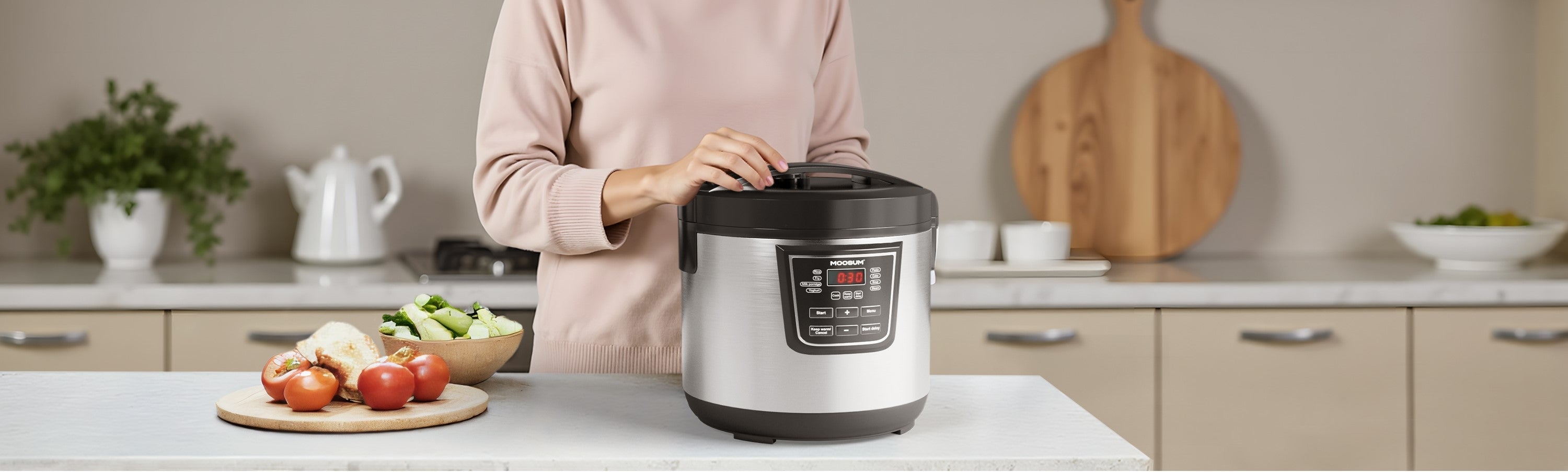 Home Rice Cooker
